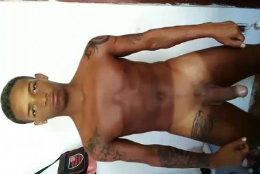 Pitbull